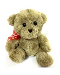 Teddy Bear 5
